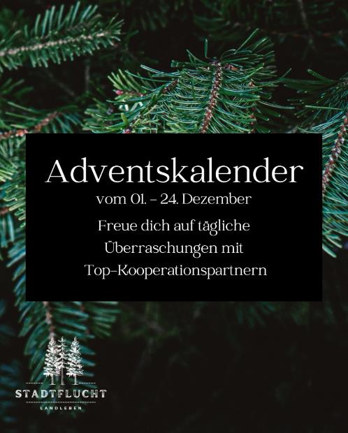 Instagram - Adventskalender