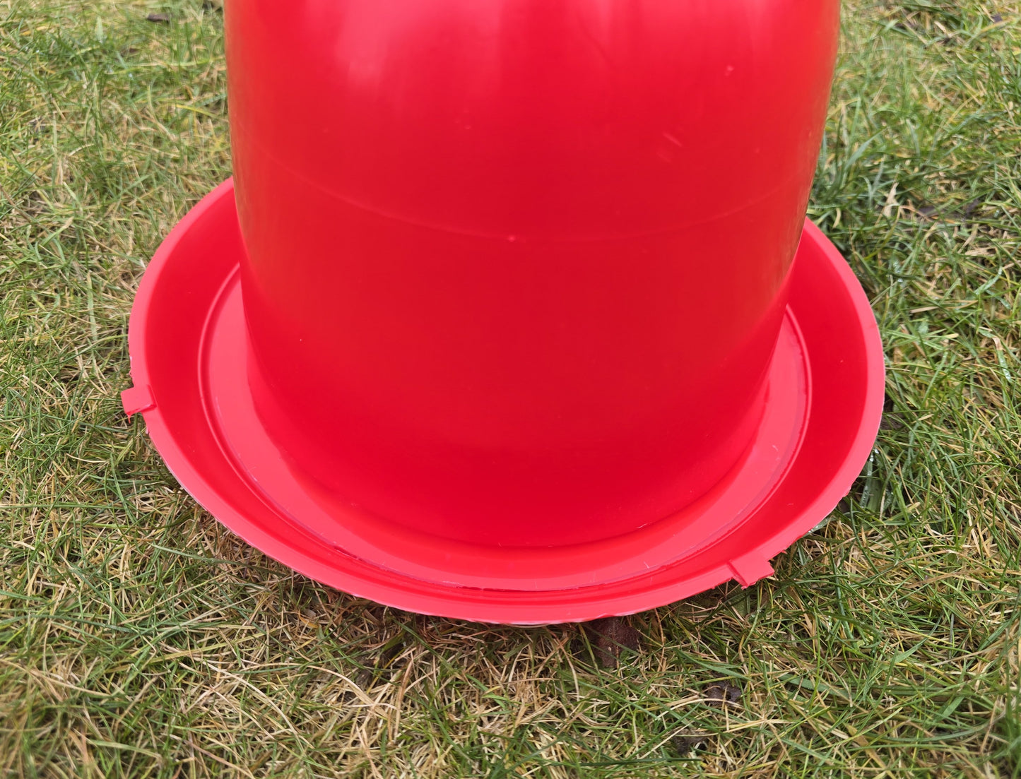 Poultry drinker, chicken drinker, 18 L automatic XL drinker, water dispenser, drinking bowl for poultry