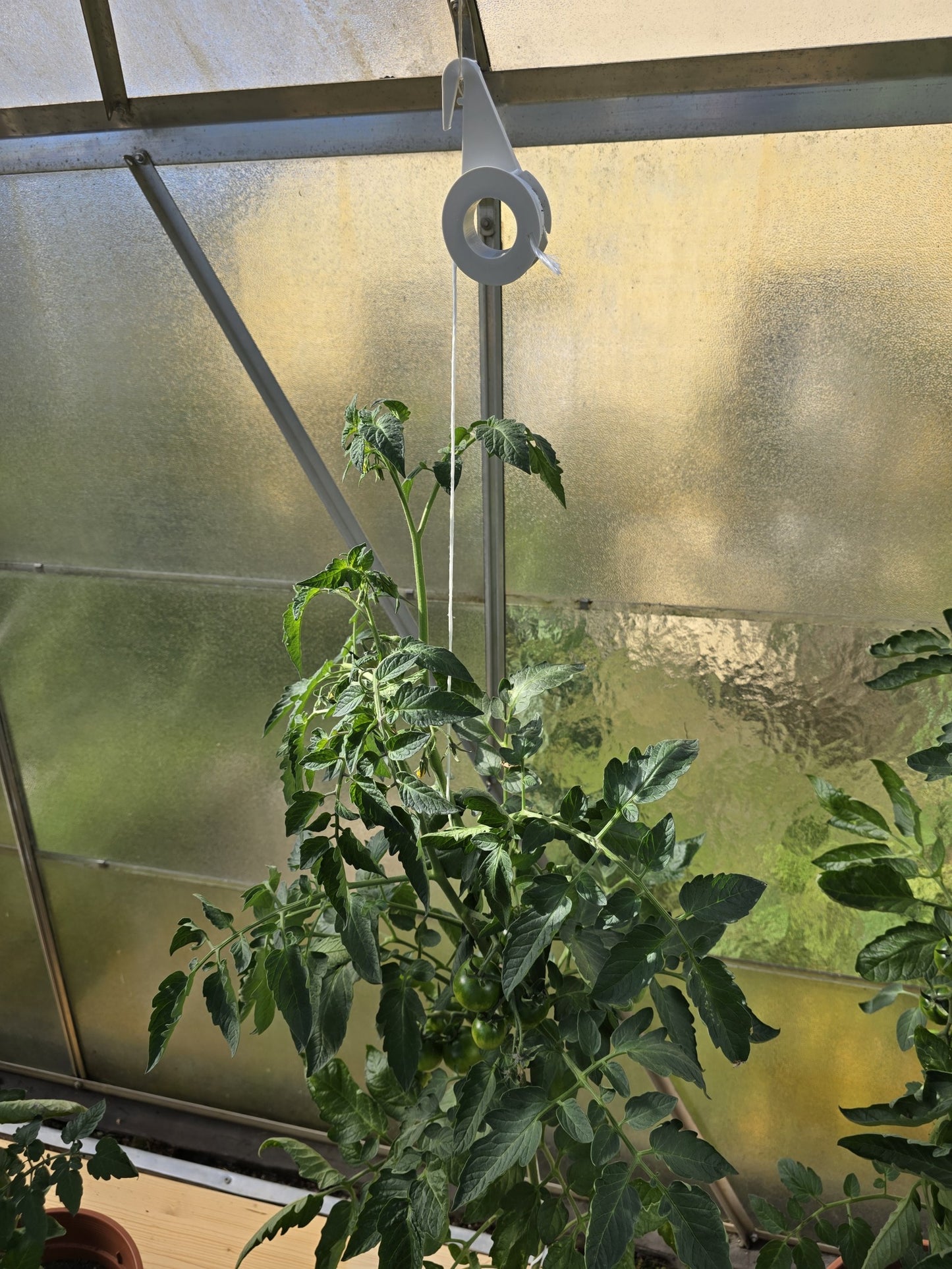 10 x Aufhängerolle Gewächshaus 8 Meter synth. Garn Tomatenrollen Schnurführung Rankhilfe