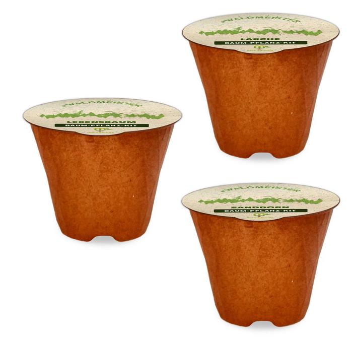 Baum-Pflanz-Kit "Waldmeister" je 1x Lärche Lebensbaum Sanddorn Pflanzkit plastikfrei