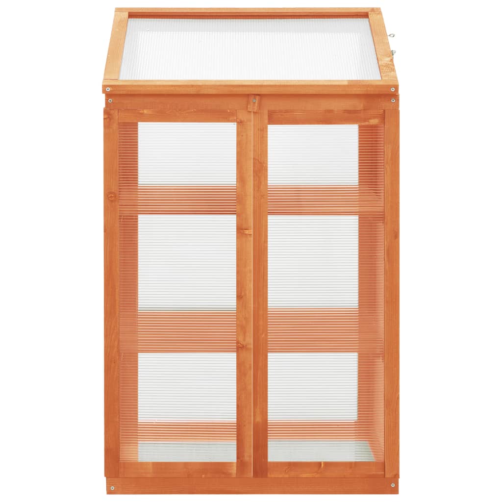 Gewächshaus 60x45x100 cm Tannenholz Anzuchtgewächshaus Treibhaus Braun