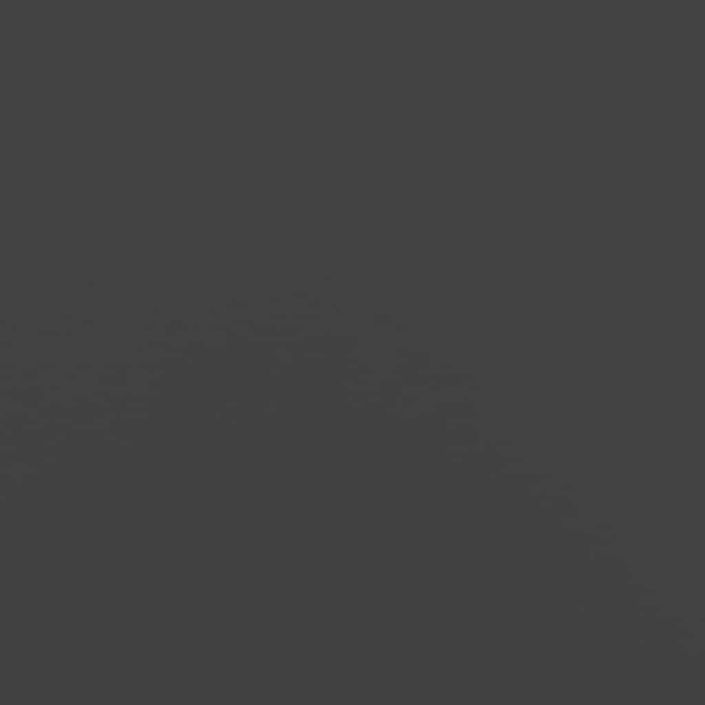 Hochbeet Pflanzkübel Anthrazit 200x40x80 cm Kaltgewalzter Stahl Gartenbeet