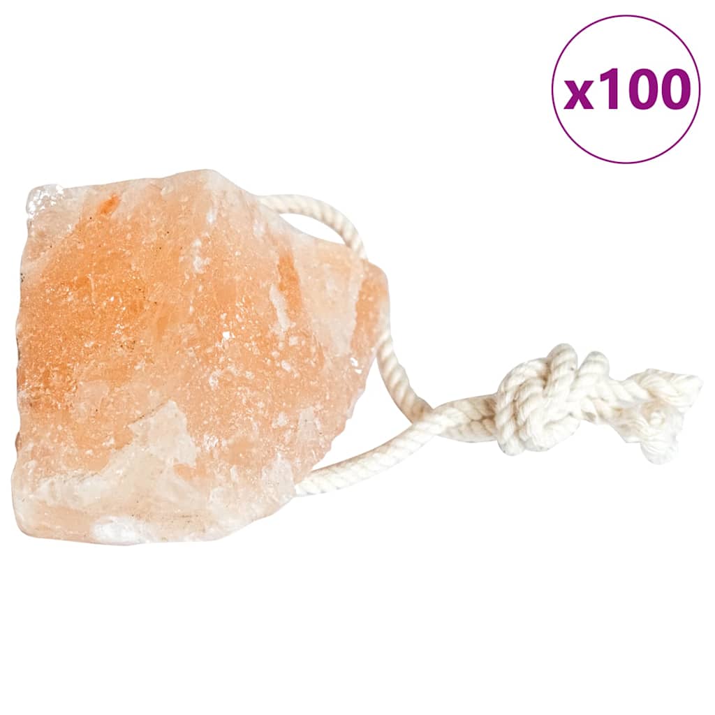 Salzlecksteine 100 pcs Rosa Steinsalz mit Kordel Mineralleckstein ca. 112 Gr je Stein