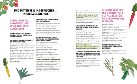 Das phänomenale Erntebeet - Doris Kampas - Sachbuch mit Poster