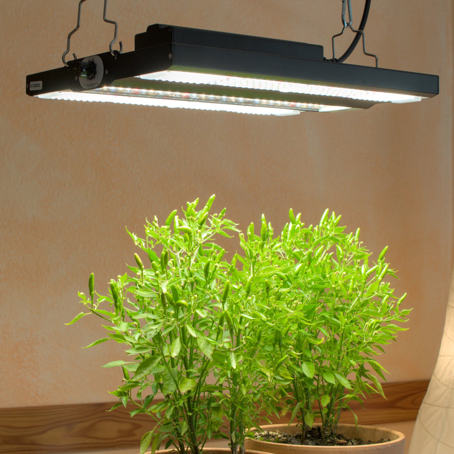 LED-Pflanzenlampe FLORIS Grow 150W dimmbar optimiertes Pflanzenlichtspektrum