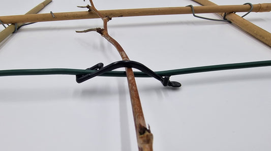 Himbeerklammer Drahtklammer für Weinbau Beerenanbau 100 Stück Kunststoff 6,5 cm