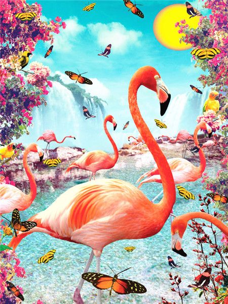 Malen nach Zahlen Erwachsene Flamingo 40x50 cm Paint by Numbers DIY Öl Acryl Leinwand Bild Dekoration Tropenvogel 1 Stück