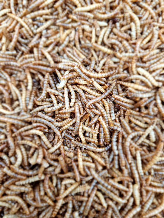 Mehlwürmer getrocknet Futtermittel für Geflügel Nager Reptilien Wildtiere 100 Gramm Beutel