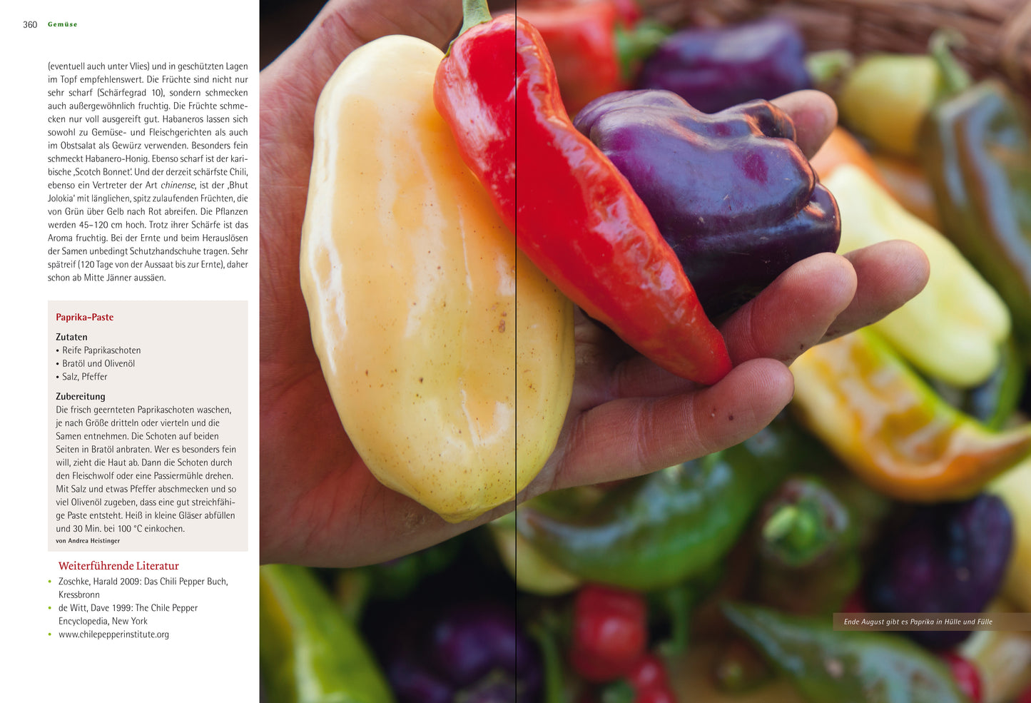 Das große Biogarten-Buch - Andrea Heistinger - Sachbuch