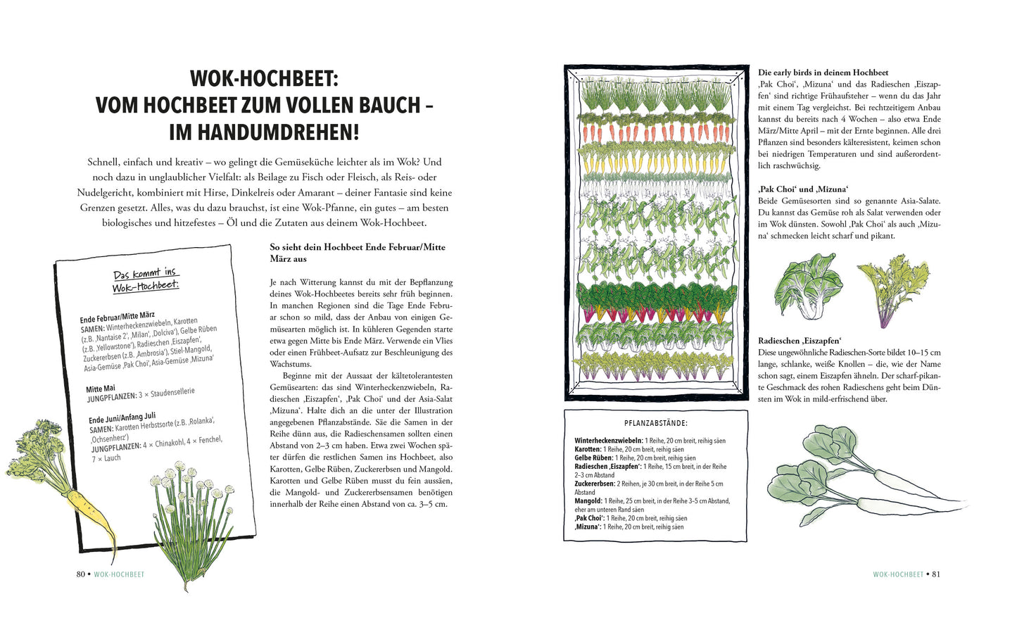 Das unglaubliche Hochbeet - Doris Kampas - Sachbuch