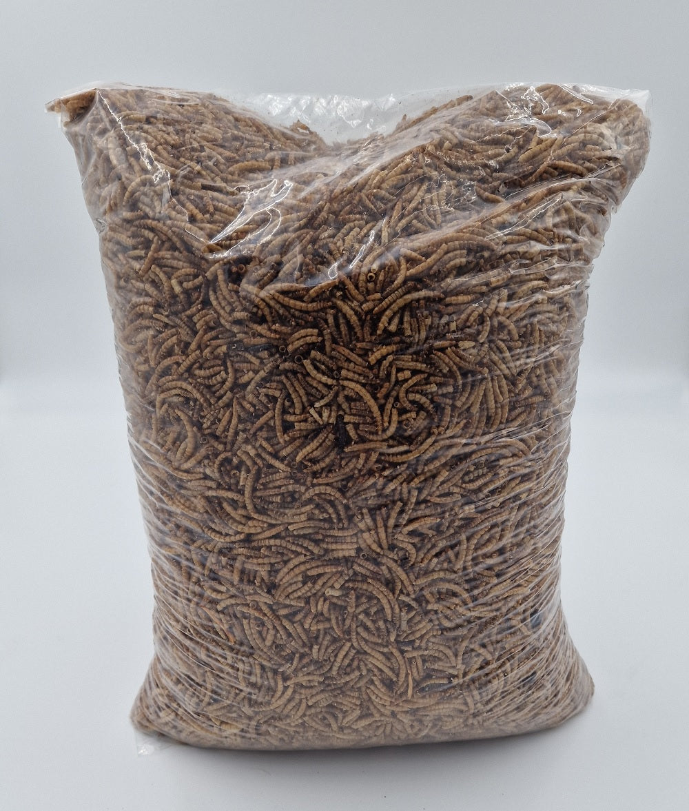 Mehlwürmer getrocknet Futtermittel für Geflügel Nager Reptilien Wildtiere 5 Kg Tüte