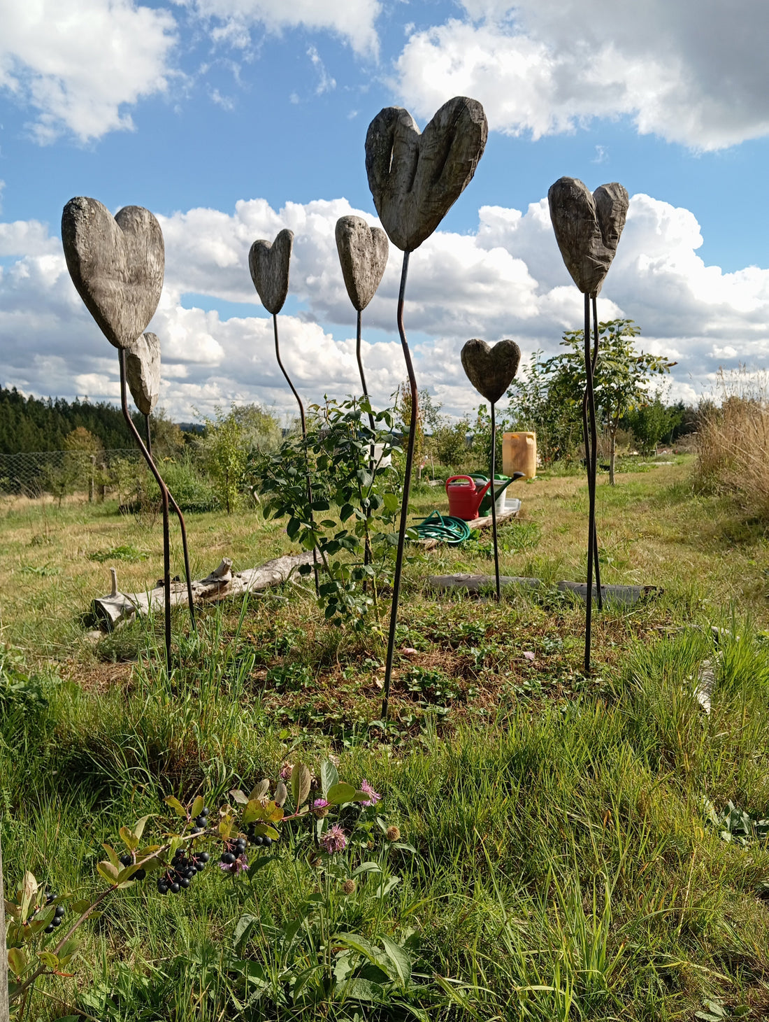 Willkommen in unserem Waldgarten
