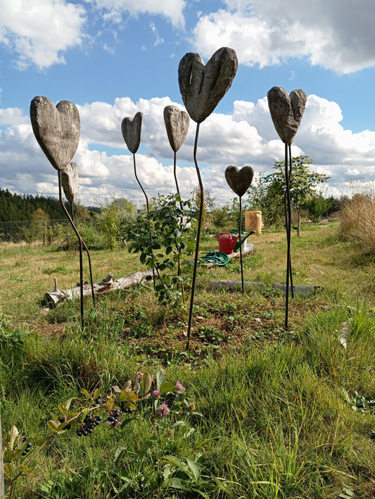 Willkommen in unserem Waldgarten