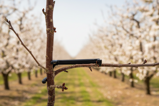 Astspreizer aus Kunststoff – Anwendung, Vorteile und Tipps