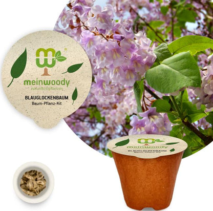 Blauglocken Baum-Pflanz-Kit Pflanzkit mit Pflanzanleitung plastikfreier Pflanztopf