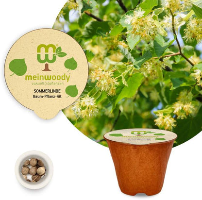 Summer linden tree planting kit, planting instructions, plastic-free planting pot, linden 