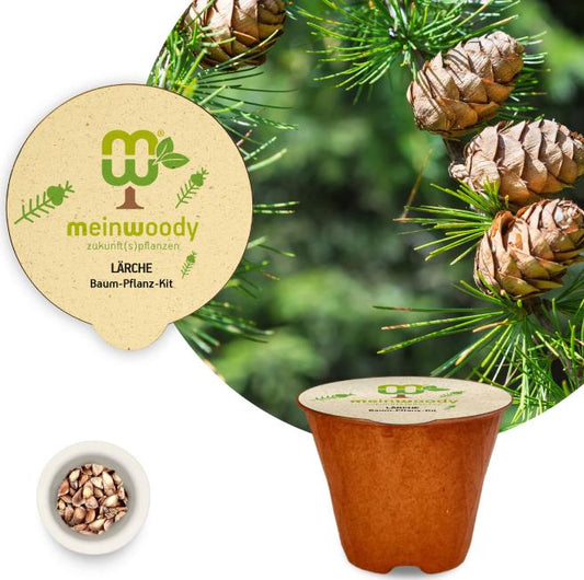 Lärche Baum-Pflanz-Kit Pflanzkit mit Pflanzanleitung plastikfreier Pflanztopf