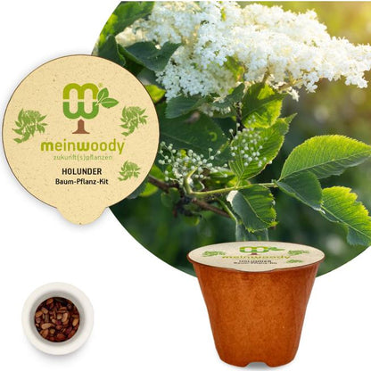 Elderberry tree planting kit with planting instructions and plastic-free planting pot 