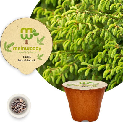 Fichte Baum-Pflanz-Kit Pflanzkit Pflanzanleitung plastikfreier Pflanztopf