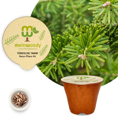 Turkish fir tree planting kit, planting instructions, plastic-free planting pot, fir 