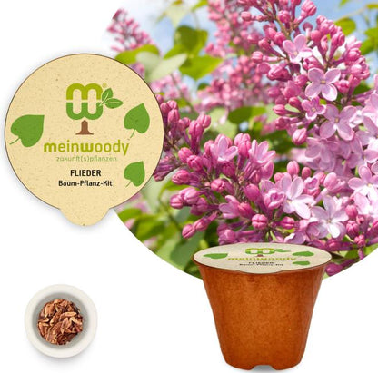 Lilac tree planting kit, planting instructions, plastic-free planting pot 