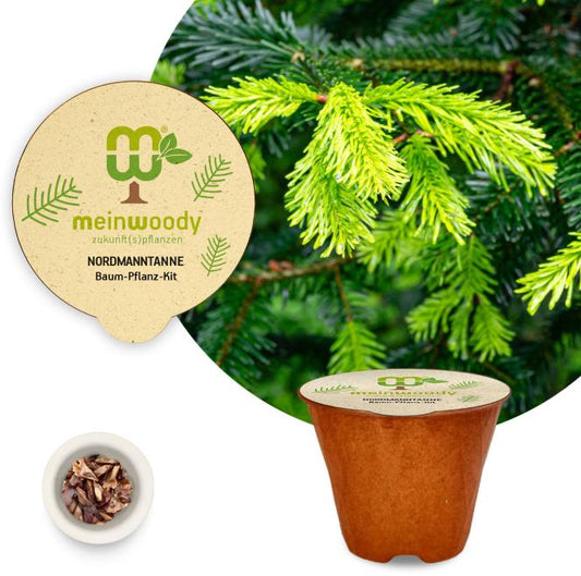 Nordmanntanne Baum-Pflanz-Kit Pflanzkit Pflanzanleitung plastikfreier Pflanztopf Tanne