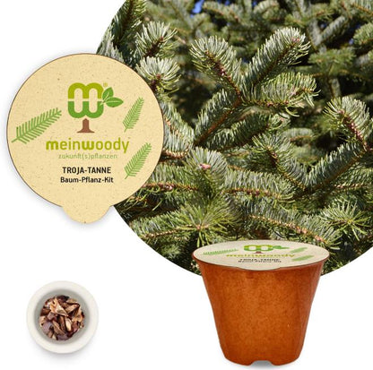 Trojan fir tree planting kit, planting instructions, plastic-free planting pot, fir 