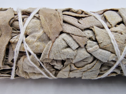 White Sage Incense 10 cm Bundle Smudge Stick Meditation Yoga Indian Sage