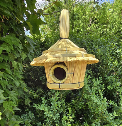 Vogelbox Seegras und Bambus hängend Futterhaus 17x17 cm Unterschlupf Vogelhaus