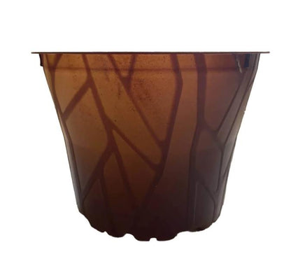 Plenta plastic-free plant pot – 12cm – 24-piece set, 100% biodegradable, sustainable 