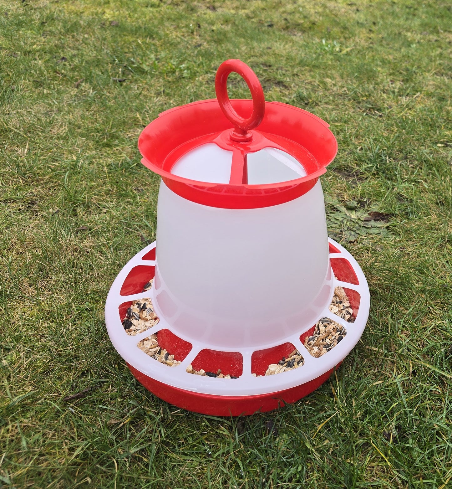 Küken-Futterautomat – Einfach zu Befüllen & Reinigen Ø 27×30 cm Geflügel Huhn