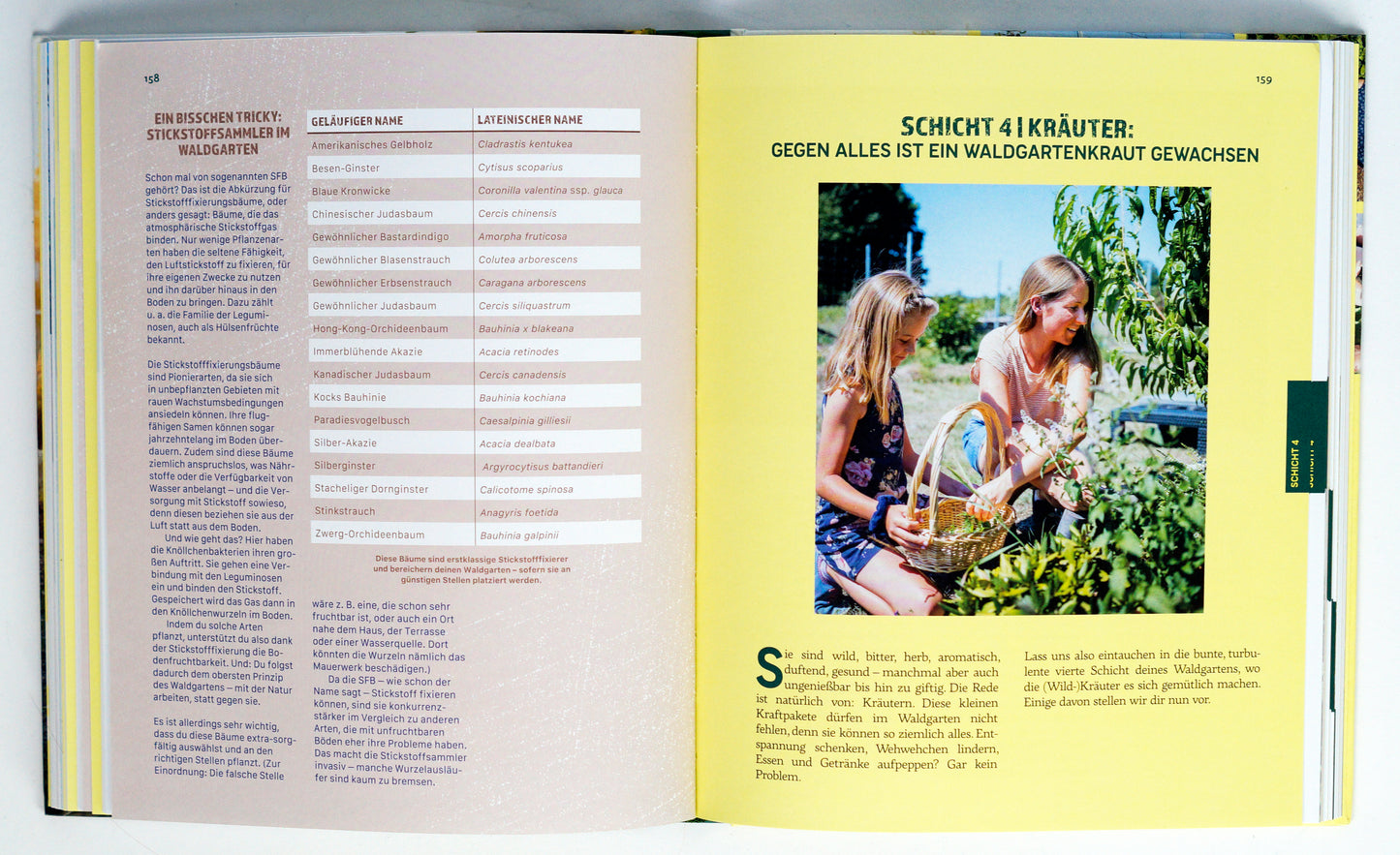 Das Prinzip Waldgarten - Sandra und Michael Skala - Sachbuch Permakultur