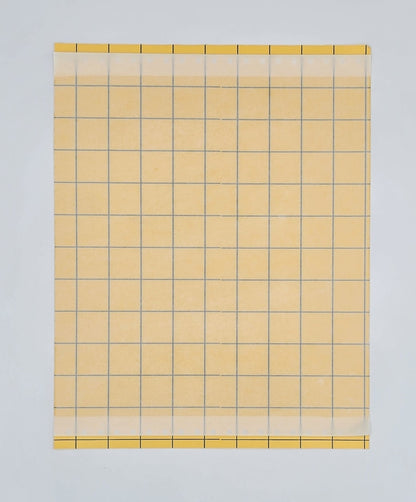 5x Yellow Sticky Trap XL 25x32 cm Yellow Sticky Traps for Fungus Gnats Insect Trap