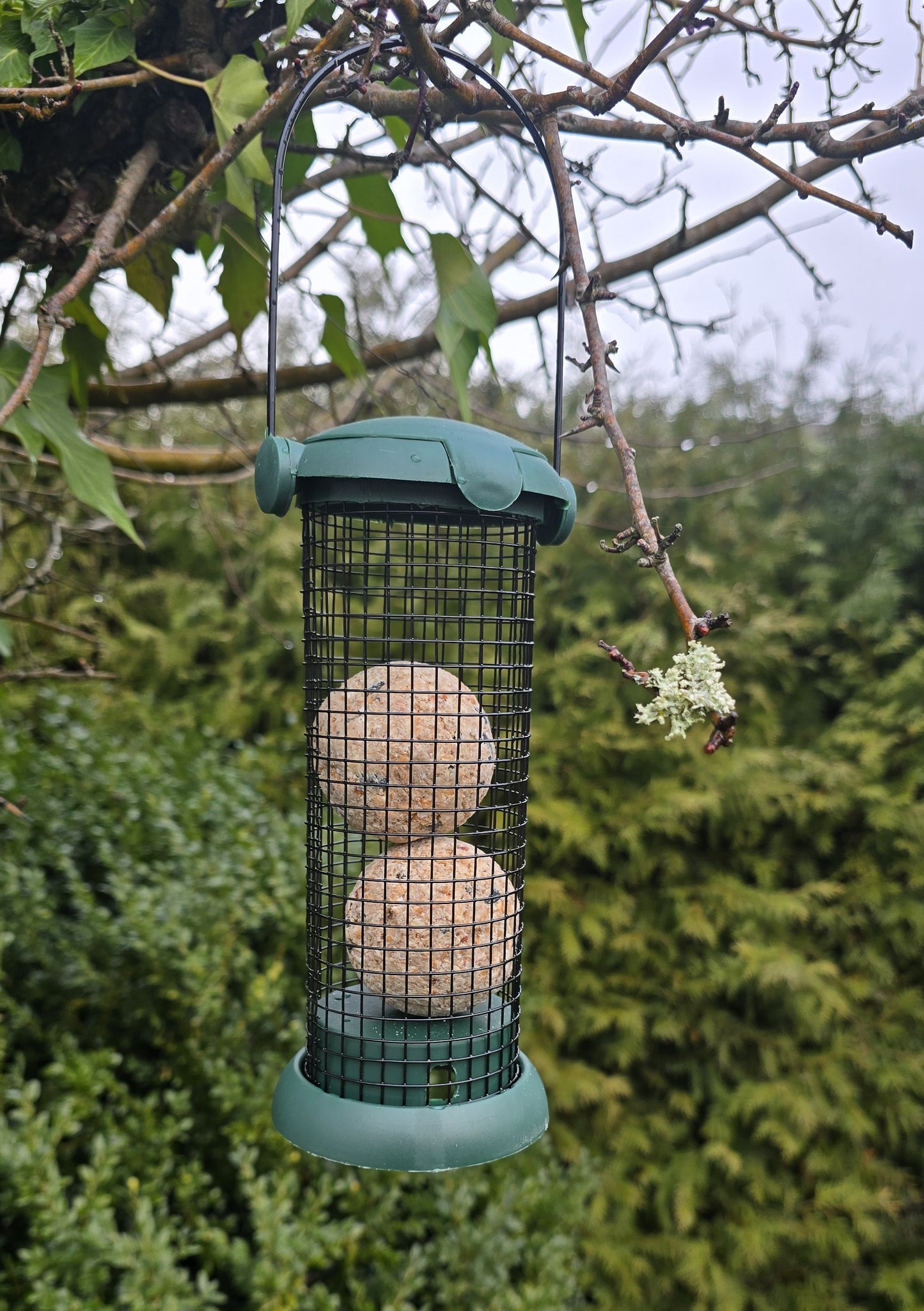 Vogelfutterspender Dunkelgrün Ø 8 x 19 cm Meisenknödelhalter Futterspender