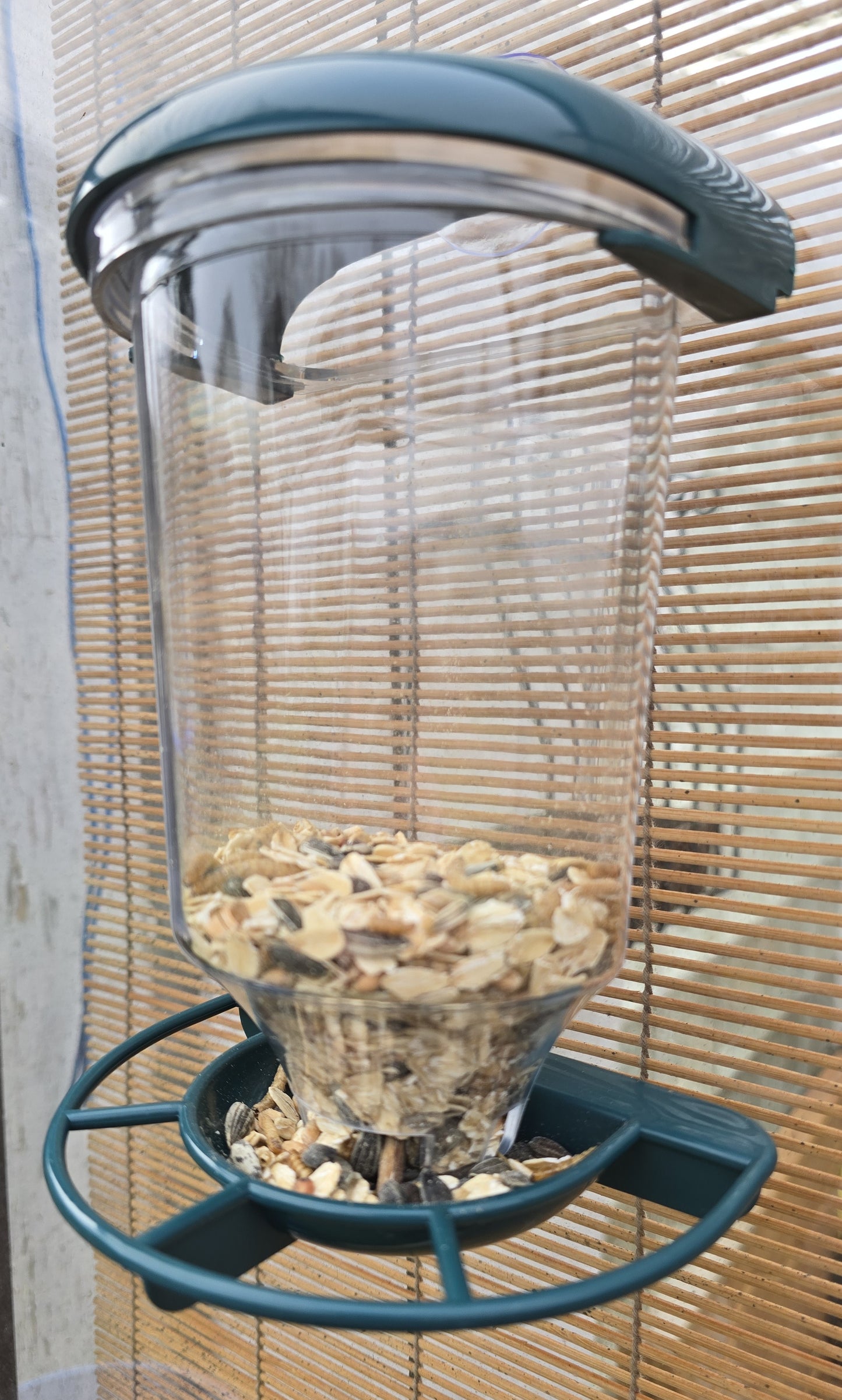 Vogelfutterstation mit Saugnapf für Fenster Dunkelgrün 14x10,5x22,5 cm Futterspender