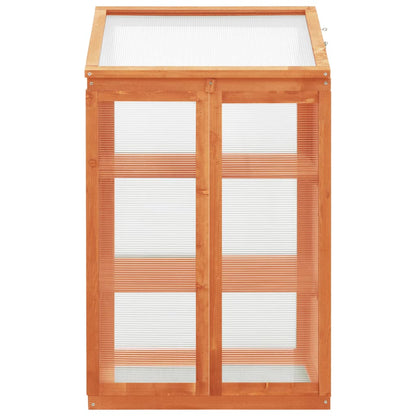 vidaXL Greenhouse 60x45x100 cm Fir Wood