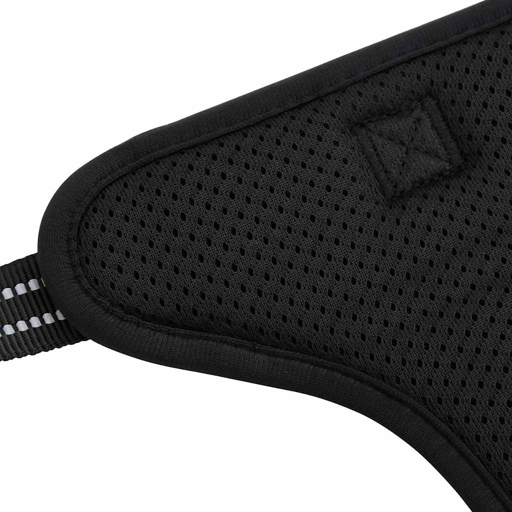 Hundegeschirr mit Leine & Halsband Verstellbar Schwarz S Sicherheitsgeschirr