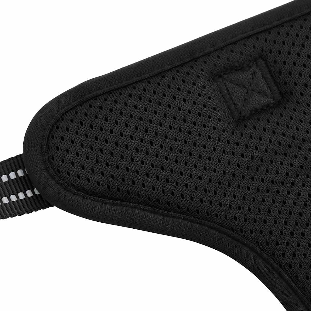 Hundegeschirr mit Leine & Halsband Verstellbar Schwarz M Sicherheitsgeschirr