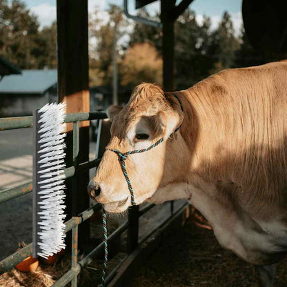 Rinderbürste Schwarz und Weiß 50 x 10 x 6.5 cm Fellbürste Kratzbürste