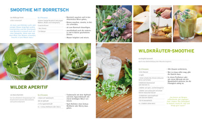 Harnessing the Power of Herbs - Non-fiction Book - 350 Recipes and Tips