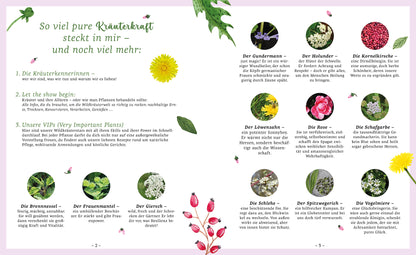 Zwölf ungezähmte Pflanzen fürs Leben - Sachbuch - 8 Autoren