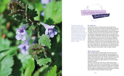 Zwölf ungezähmte Pflanzen fürs Leben - Sachbuch - 8 Autoren