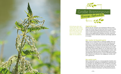 Zwölf ungezähmte Pflanzen fürs Leben - Sachbuch - 8 Autoren