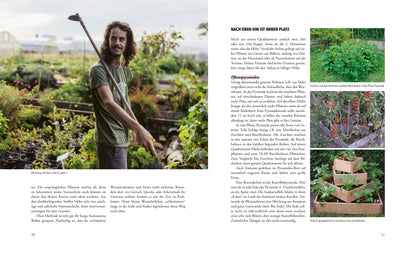 Das phänomenale Erntebeet - Doris Kampas - Sachbuch mit Poster