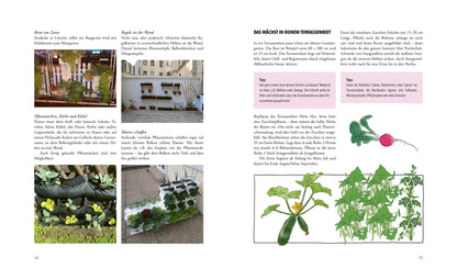 Das phänomenale Erntebeet - Doris Kampas - Sachbuch mit Poster