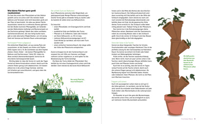 Stadtgemüse - Anna Meincke  - Sachbuch - Gemüse, Obst und Kräuter in der Stadt