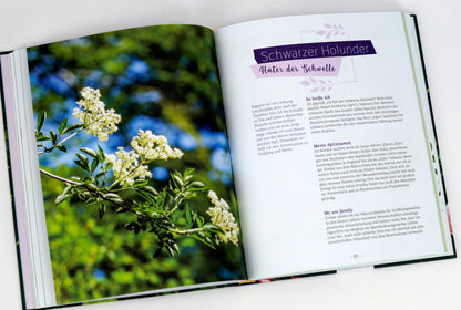 Zwölf ungezähmte Pflanzen fürs Leben - Sachbuch - 8 Autoren