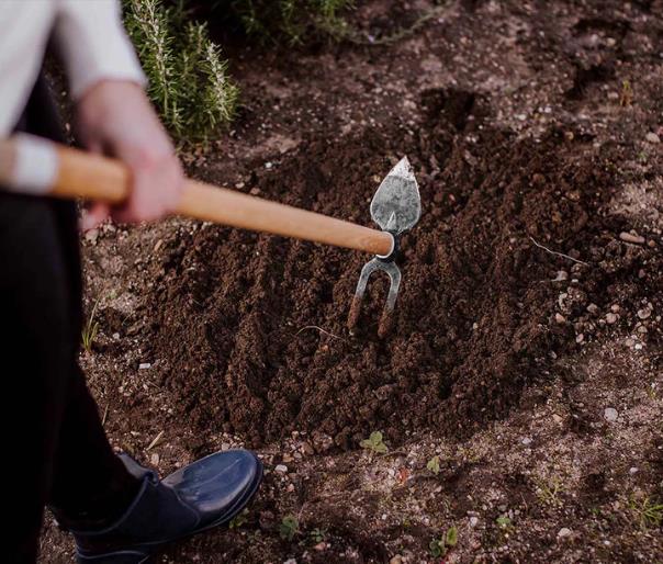 Gartenhacke "Daisy M" 2-Zinken-Doppelhacke Stiel 1050 mm geschmiedet stabil