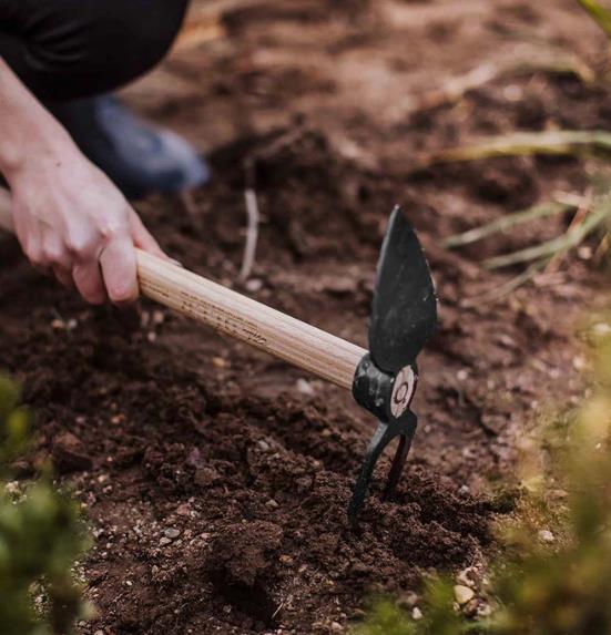 Gartenhacke 450 mm "Daisy S" 2-Zinken-Doppelhacke geschmiedet stabil hochwertig