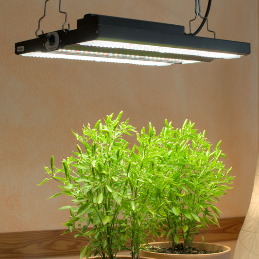 LED-Pflanzenlampe FLORIS Grow High Tech 150W dimmbar Vollspektrum